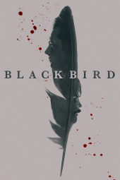 پرنده سیاه Black Bird 2022