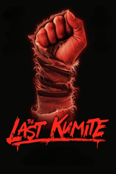 دانلود فیلم آخرین مبارزه The Last Kumite 2024