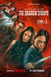 دانلود فیلم سایه های گمشده The Shadow Strays 2024