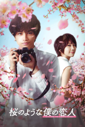 Love Like the Falling Petals 2022